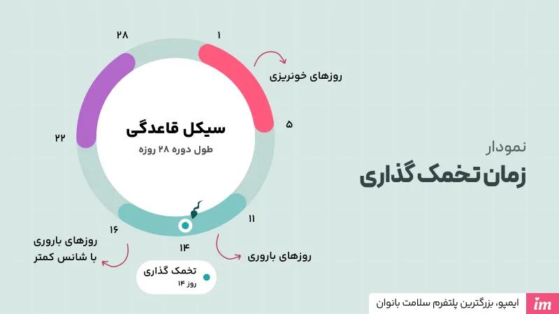 نمودار تخمک گذاری