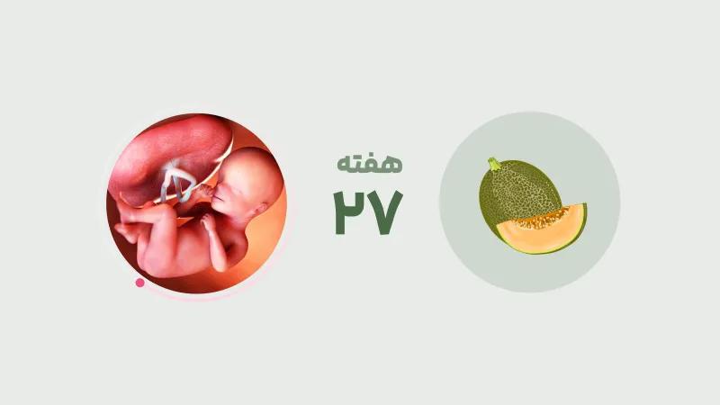 هفته 27 بارداری