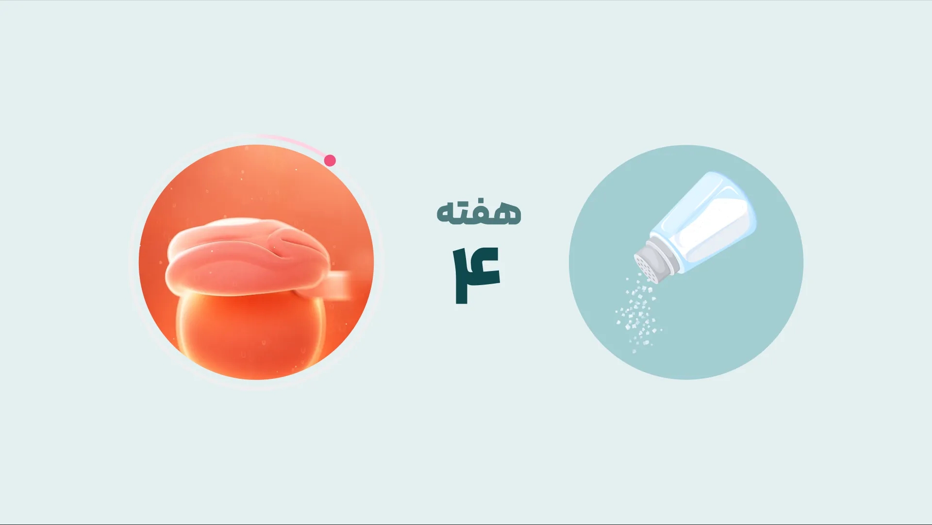 هفته چهارم بارداری: همه چیز درباره علائم، رشد جنین و مراقبتها